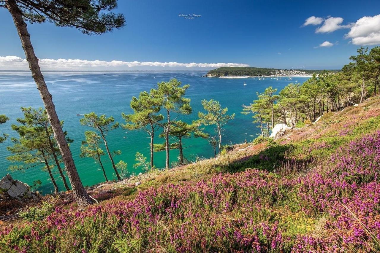 Appartement Cosy Les Pieds Dans L'Eau, Vue Mer Exceptionnelle Крозон Екстер'єр фото